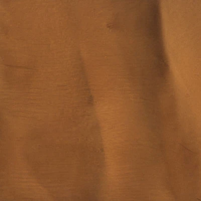 Close-up of brown textured wooden surface.
