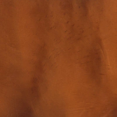 Close-up of brown textured wood surface.