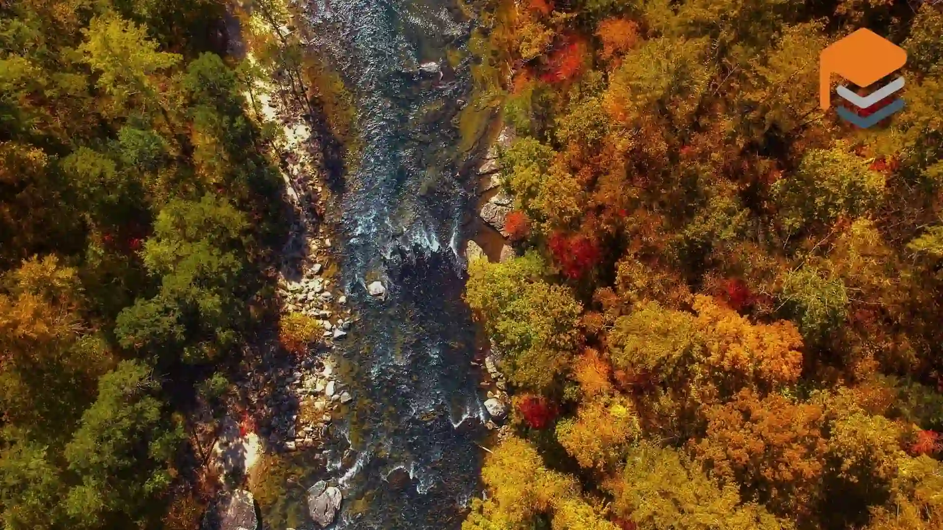 River through vibrant autumn forest aerial view